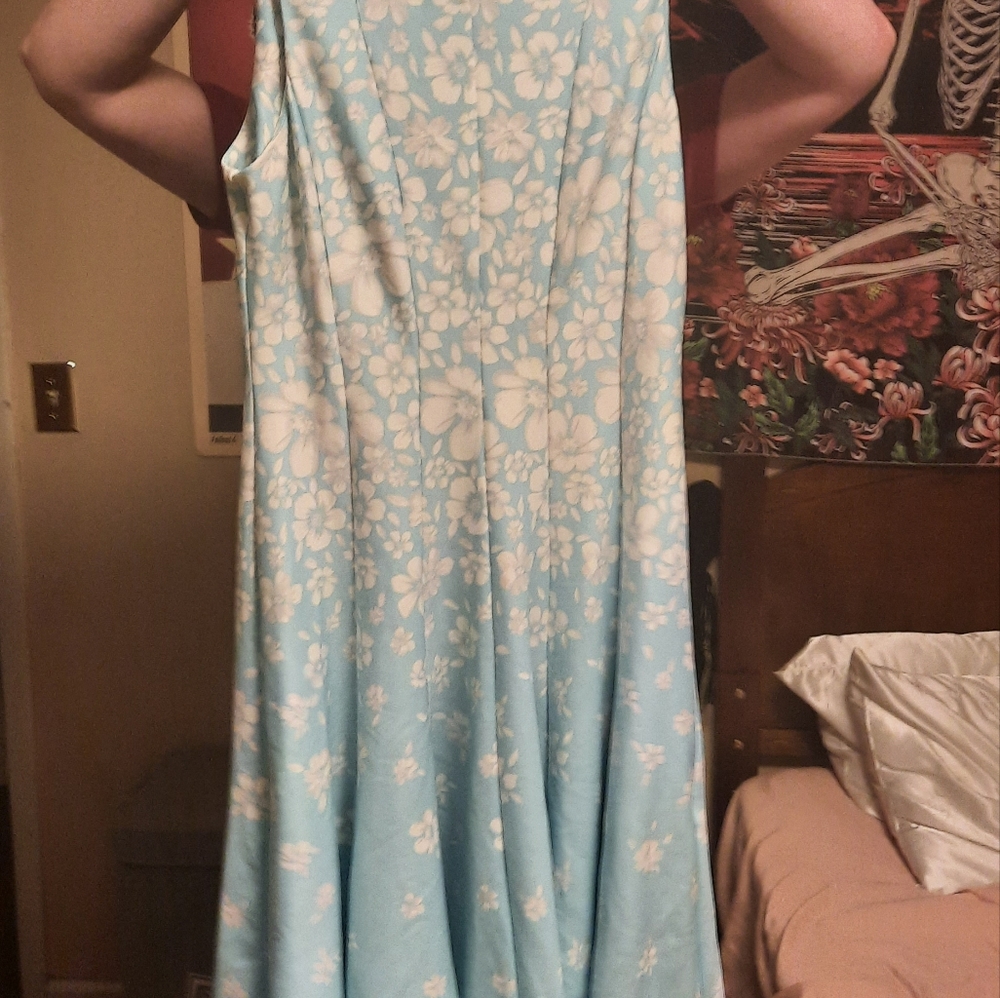 Danny and Nicole Blue Dress